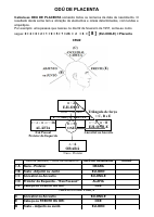 Odu de Placenta (1).pdf